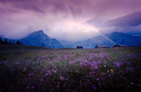 Meadow The Field Flower Purple Mountain Houses Sky Light Landscape Hd Wallpaper