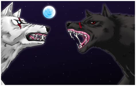 Wolf Fight Shiro Vs Kuro By Cosmickalamari On Deviantart