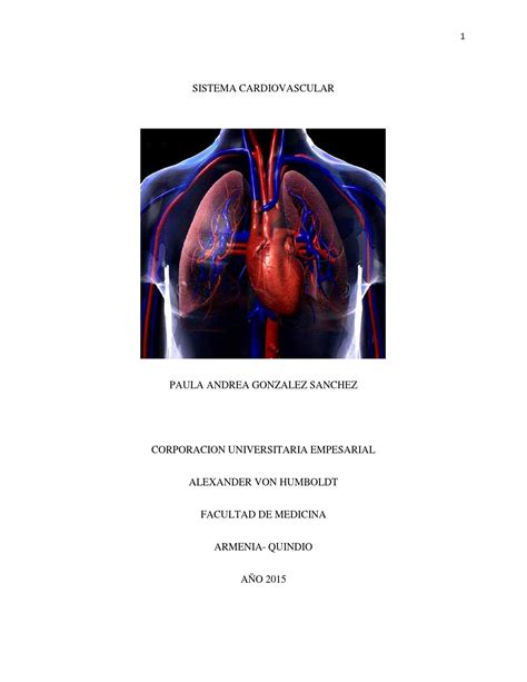 Sistema Cardiovascular By Paula A Gonzalez Issuu