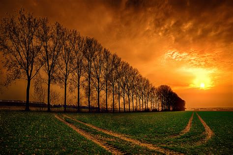 Sunset Over Trees In Park Hd Wallpaper Background Image 2048x1364
