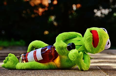 Kermit Rana Abrazando Botella De Vino Vino Beber Alcohol