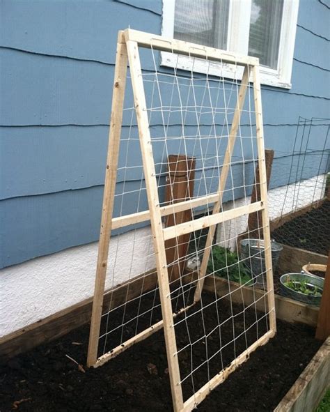 The pvc cucumber trellis is a cool way to grow your cucumbers. 11 Functional DIY Cucumber Trellis Ideas | Balcony Garden Web