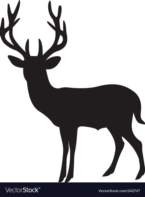 Deer Royalty Free Vector Image Vectorstock