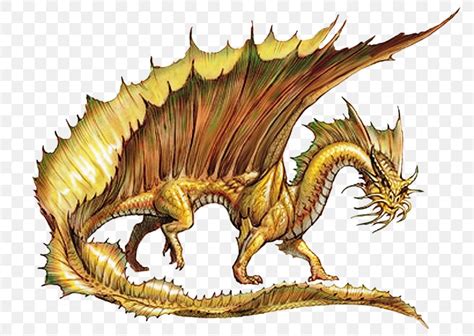 Draconomicon Dungeons And Dragons Gold Metallic Dragon Png 800x582px