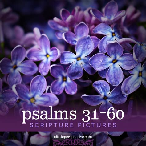 Psalms 31 60 Scripture Pictures