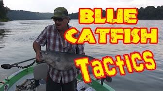 River fishing for Catfish Tips - YouTube