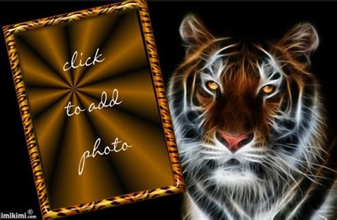 Tiger Blank Background Blank Photo Photo Frames Clip Art Wild