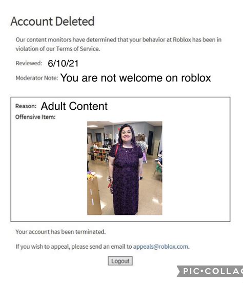 Roblox Account Deleted Roblox Is Finally Prohibiting Princesses Blank
