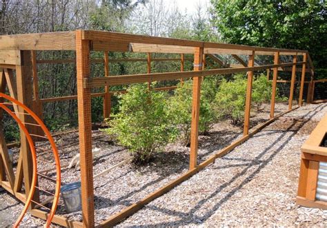 You want the bush to have a narrow base and a wide, open top that allows sunlight and air in. blueberry cage - take that, birds! | Garden beds ...