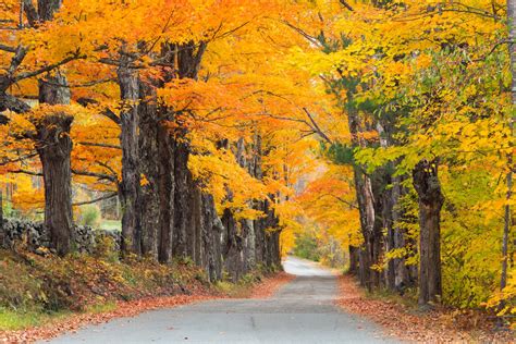 Leaf Peeping For Newbies A Beginners Guide To Experiencing Fall In