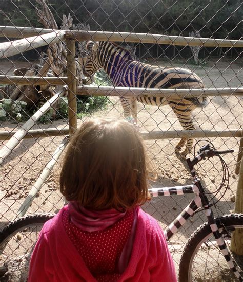 O buin zoo fica na cidade de buin, cerca de 50 quilômetros de santiago e é muito fácil chegar por conta própria, vou contar como no final do post. Chile para crianças: BUIN ZOO, O MAIOR DO CHILE