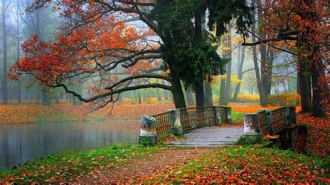 Amazing Beautiful Fall Nature Colorful Bridge Perfect Peace Dream