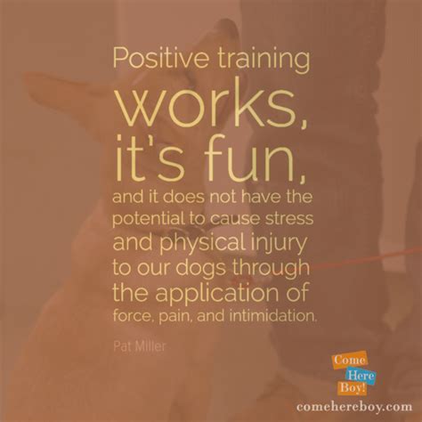 9 Quotes That Inspire Us To Train Dogs Positively Comehereboy