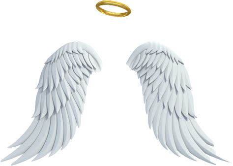 asas png - #aureola #angel #anjo #asas - Real Angel Wings And Halo | #5509722 - Vippng