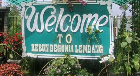 Lokasinya yang dekat dengan kota salatiga dan termasuk tempat wisata dekat jogja menjadikan wisata. Wisata Taman Begonia Lembang - Fasilitas, Harga Tiket ...