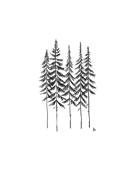 Simple Pine Tree Line Drawing Perangkat Sekolah
