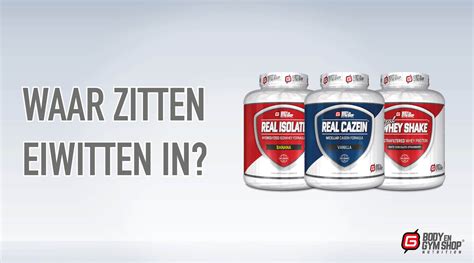 Waar Zitten Eiwitten In De Beste Bronnen Van Eiwit Bgs Nutrition