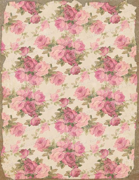 Vintage Roses Scrapbook Paper Floral Paper A4 85x11 Sheets Etsy