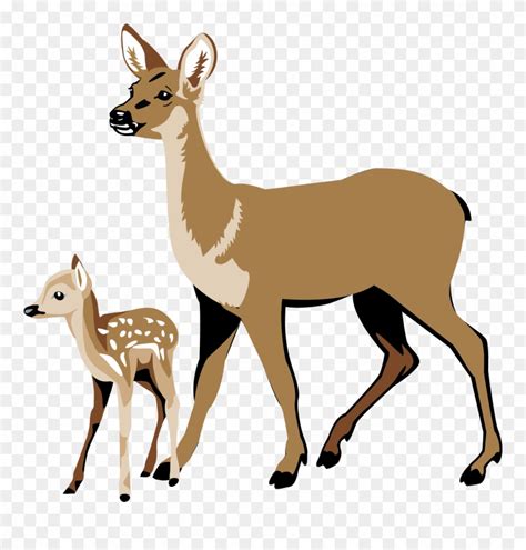 Whitetail Deer Clipart Deer And Fawn Clipart Png Download 40979