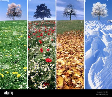 Digital Art The Four Seasons Stock Photo Alamy
