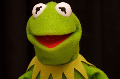50 Kermit The Frog Android Iphone Desktop Hd Backgrounds
