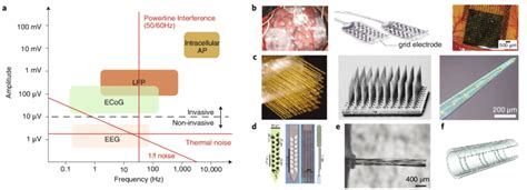 Typical Neural Signal Characteristics And Neural Electrodes A The