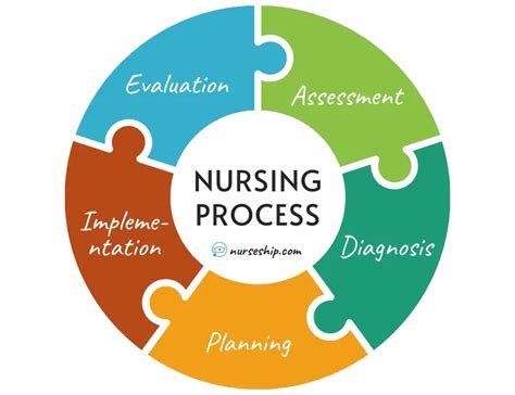 What Is The Nursing Process Adpie 5 Steps Explained