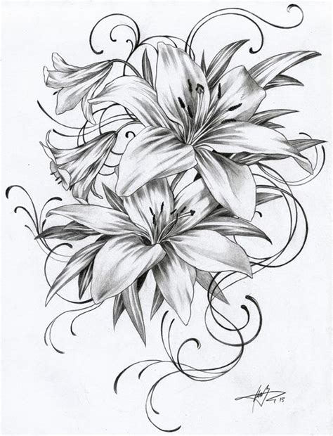Lily Flower Tattoo Drawing