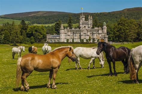 10 Jaw Dropping Castles In Aberdeenshire Scotland Bobo And Chichi