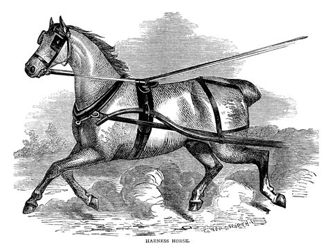 Harness Horse ~ Free Vintage Clip Art Old Design Shop Blog