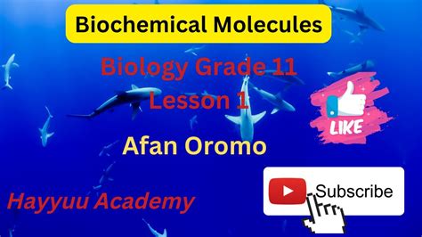 Biochemical Molecules Biology Grade 11 Chapter 2 In Afan Oromo Part 1