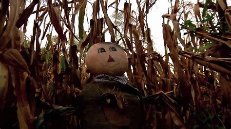 Haunted Corn Maze Youtube