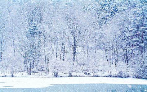 Pretty Winter Pictures Free Download Pixelstalknet