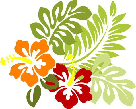 Flor Tropical Sale De Gráficos Vectoriales Gratis En Pixabay Flores
