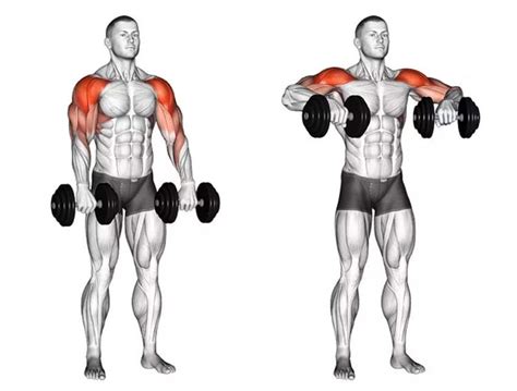 What Are Upright Rows A Bodybuilding Guide
