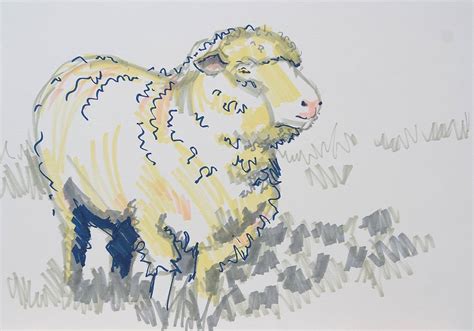 Fluffy Sheep Drawing Drawing By Mike Jory Pixels