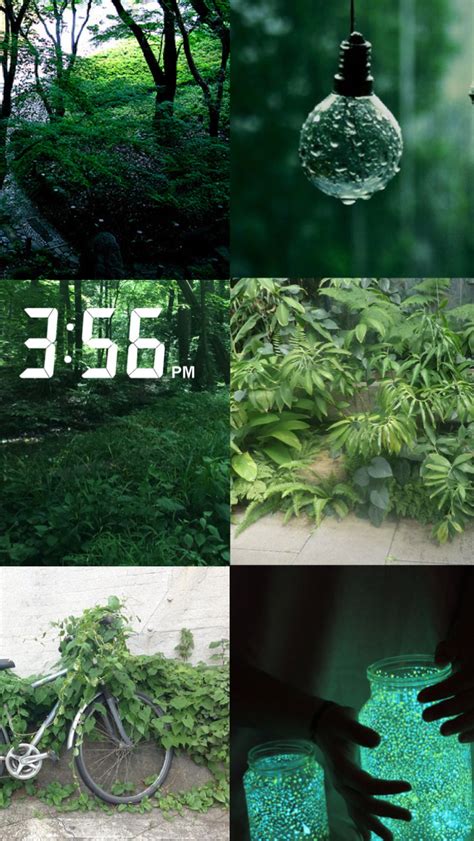 Green Nature Aesthetic By Curvania On Deviantart