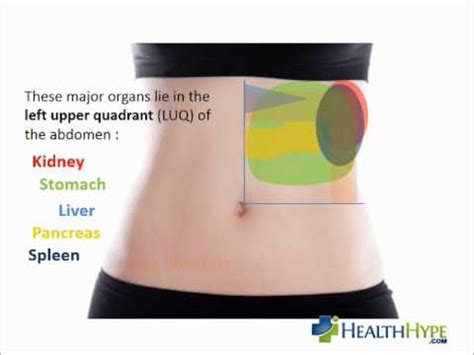 Organs in the lower left side abdomen numerous of the organs found in the lower left side abdominal areas are continuations of those found in the upper area although others are completely various. Left side abdominal pain - YouTube