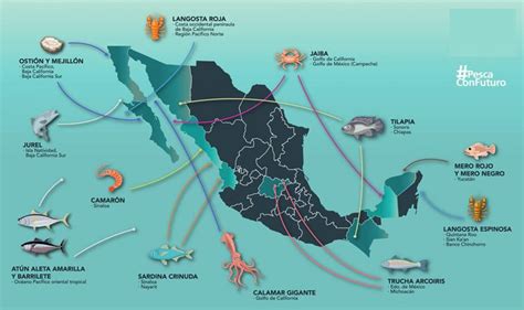 Pesca En MÉxico 】mejores Lugares Para Ir A Pescar Espesca