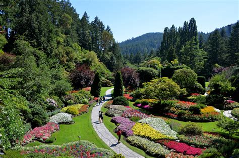 Save on popular hotels near butchart gardens in victoria: Whale Watching & Butchart Gardens - Prince of Whales ...