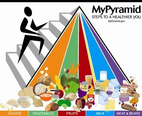 Best Food Pyramid Servings Charts Images Food Pyramid Food Pyramid