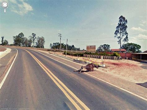 Rapid creek near founders park. Disturbing Google Street View Photos - Business Insider