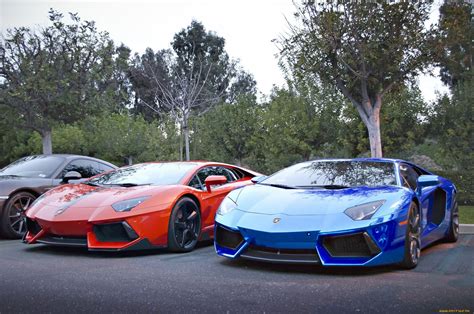 Online Crop Blue And Red Cars Car Luxury Cars Lamborghini