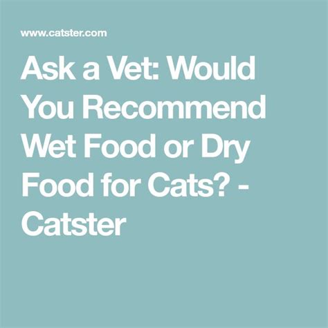 Ask A Vet Would You Recommend Wet Food Or Dry Food For Cats Catster