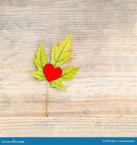 Autumn Yellow Maple Leaf With Red Heart Inside On A Wooden Background