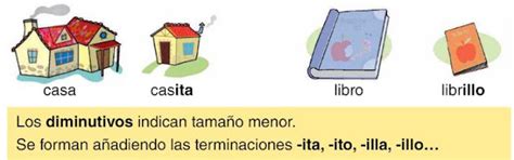 2018 2019 El Escarabajo Sin Patatas 2º C Aumentativos Y Diminutivos