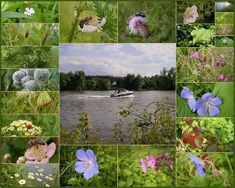 Sommer Am Fluss 2 Foto And Bild Jahreszeiten Sommer Natur Bilder Auf