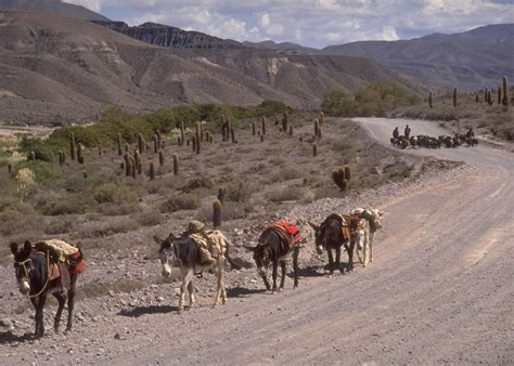 Visit Salta And The Northwest Argentina Audley Travel