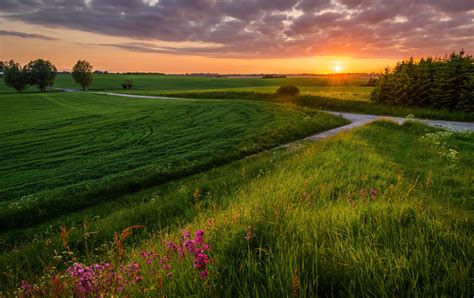 Scenery Sunrises And Sunsets Fields Grass Nature Wallpapers Hd
