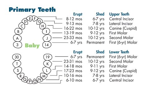 About Teeth Childrens Dental Center